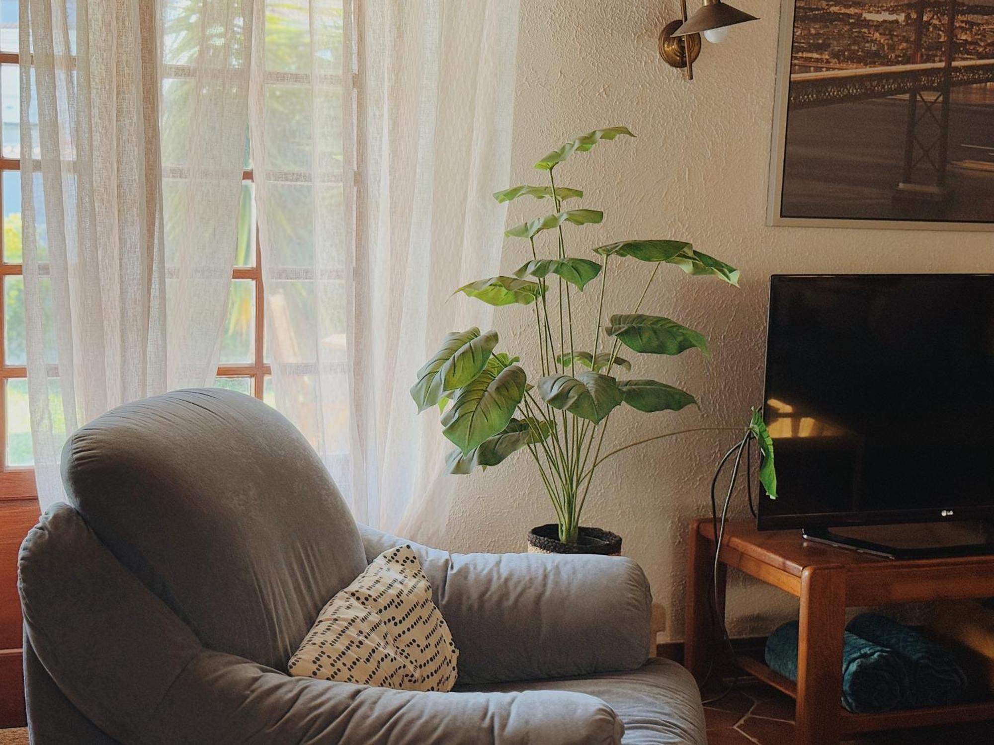 Coastal Garden Paradise Retreat- 6 Min From The Beach Charneca  Eksteriør billede